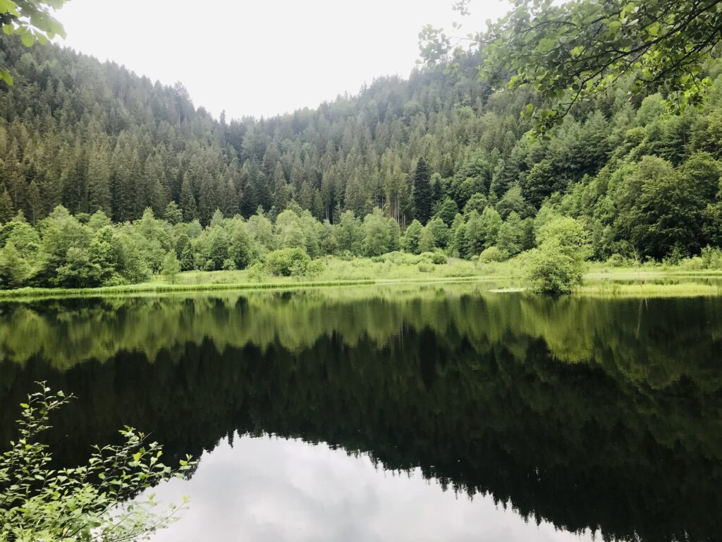 Sankenbachsee in Baiersbronn , in der nähe von Freudenstadt. kostenlose Parkplätze,